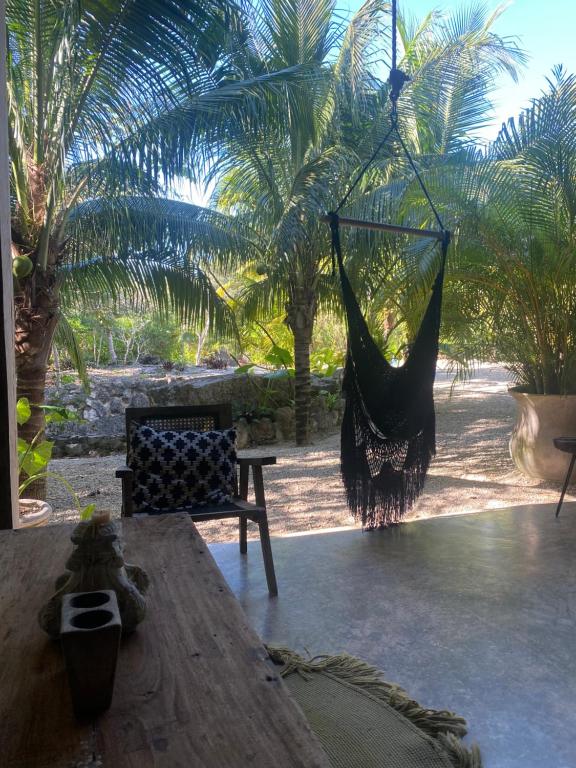 Κήπος έξω από το Casa Sabina en Francisco Uh May