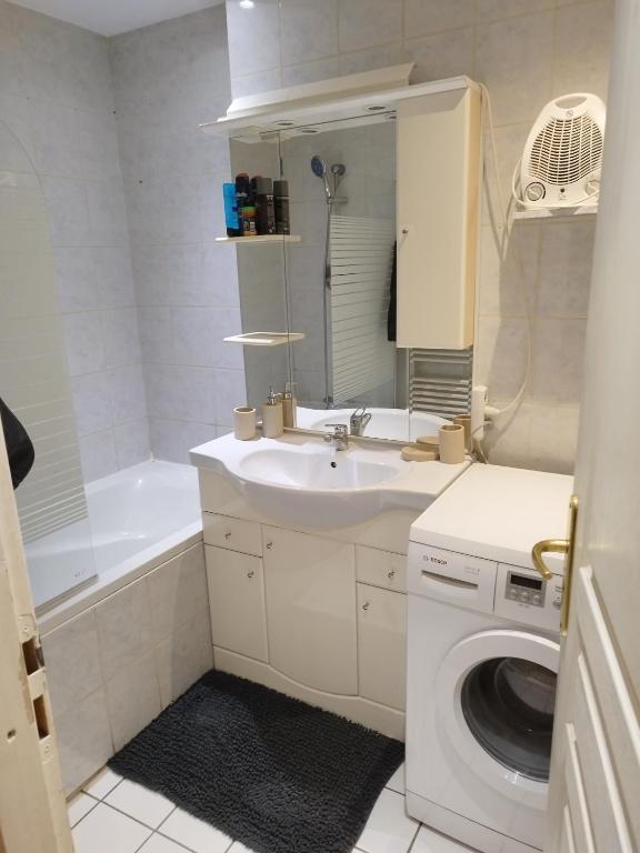 une salle de bain avec un lavabo et une machine à laver dans l'établissement Appartement saint antoine, à Gap