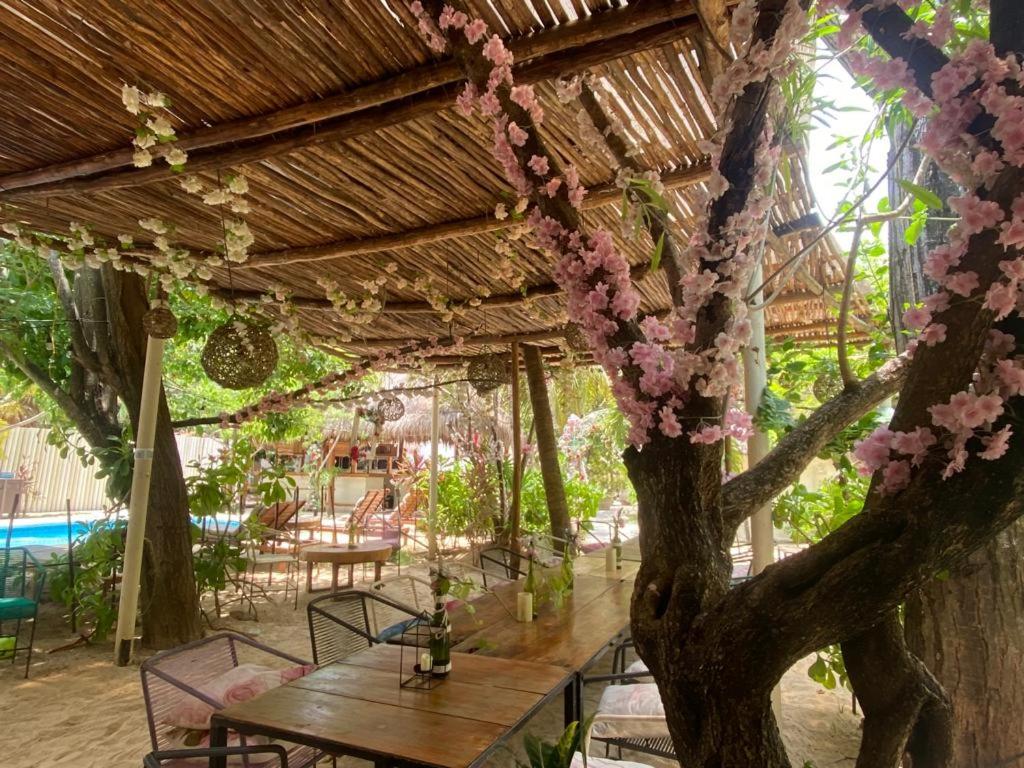 Zahrada ubytování Nature Stay