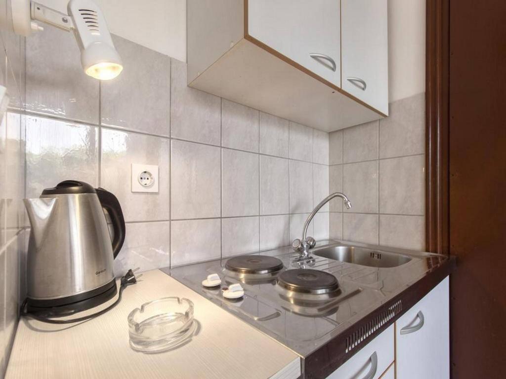 Kuchyň nebo kuchyňský kout v ubytování Apartments Pletikosa Gaj