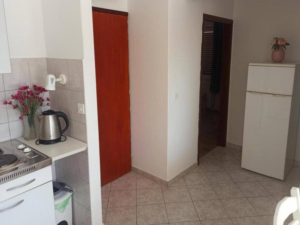 Kuchyň nebo kuchyňský kout v ubytování Apartments Pletikosa Gaj