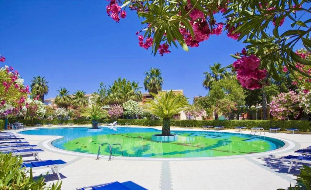 波尔托奥蒂罗卢ISA-Residence with swimming-pool in Ottiolu just 250 mt from the sea, apartments with air conditioning and private outdoor area的度假村里的游泳池，摆放着蓝色椅子和鲜花。