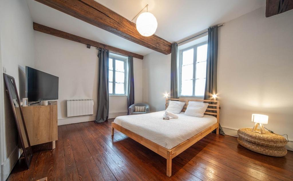 a bedroom with a bed and a flat screen tv at L'appartement Cosy in Tournus