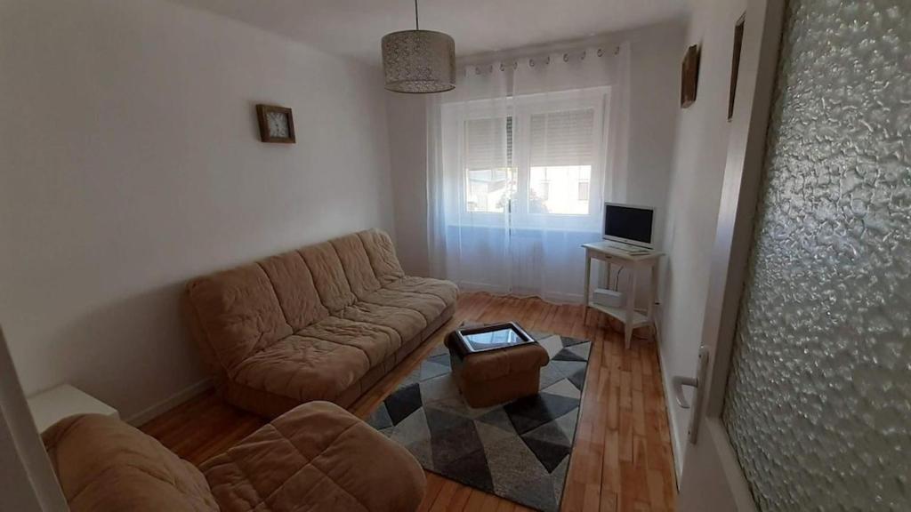 un salon avec un canapé et une table dans l'établissement charming apartment, à Stiring-Wendel