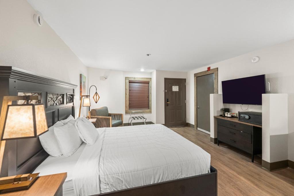 Black Bear Inn & Suites photo