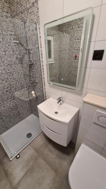 Koupelna v ubytování Apartment Mila