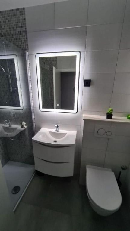 Koupelna v ubytování Apartment Mila