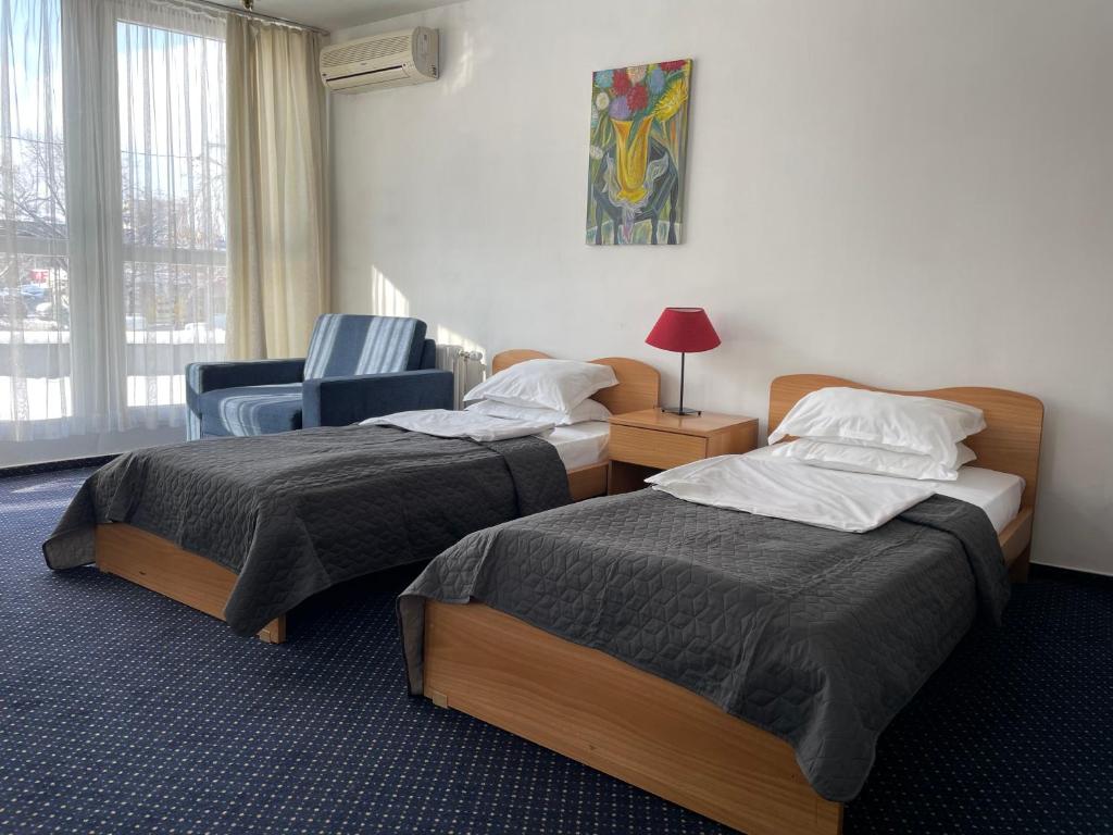 Postel nebo postele na pokoji v ubytování Hotel Rotasar