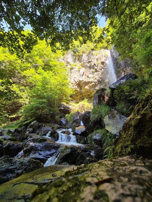 Príroda v okolí apartmánu