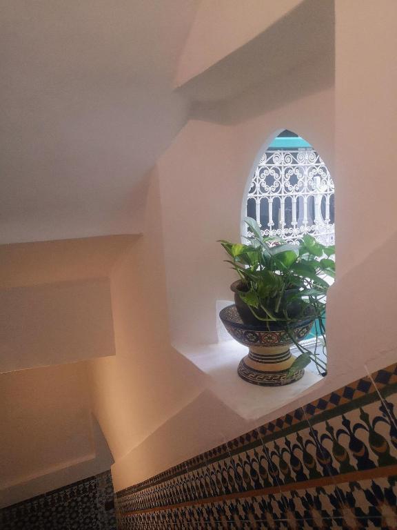 Fotografie z fotogalerie ubytování Riad El Badii chambre queen size Badii v Marrákéši