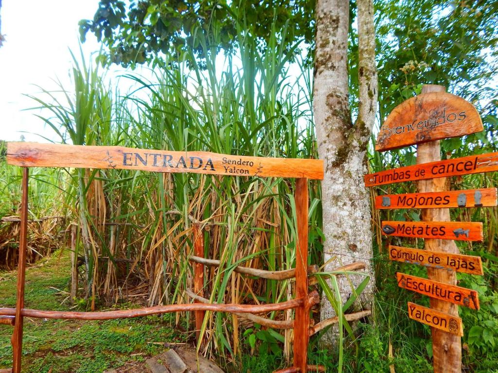 Zahrada ubytování Finca Vegonia Arqueológica