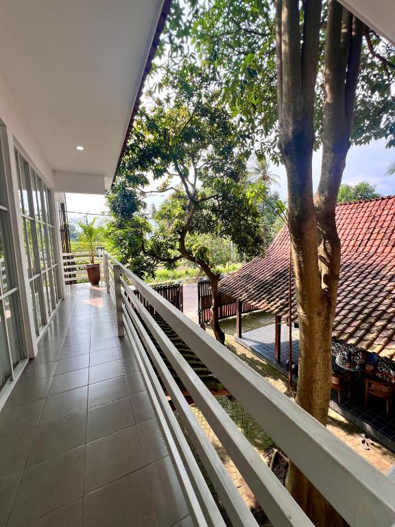 Balcone o terrazza di PaddyView by Zzz