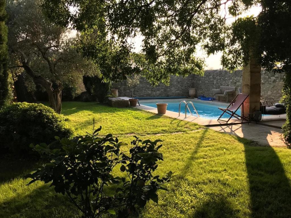 une cour avec une piscine et une cour arborée dans l'établissement Maison de campagne en plein village, à Fontvieille