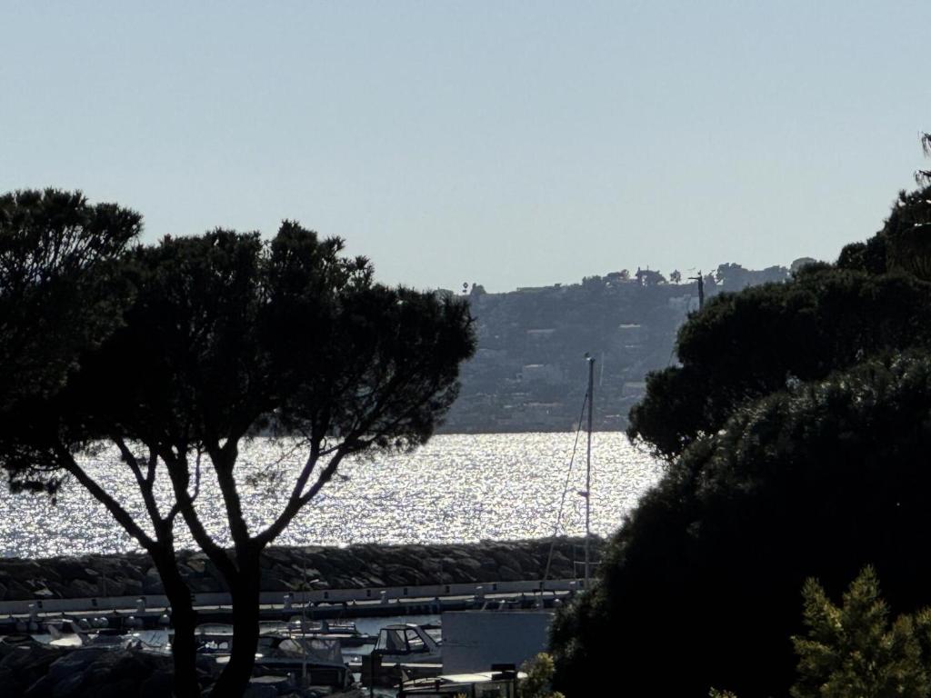 Blick auf einen Wasserkörper mit Booten in der Unterkunft Résidence les Calanques des Issambres - maeva Home - Studio 4 Personnes - Sélection MAE-8566 in Les Issambres