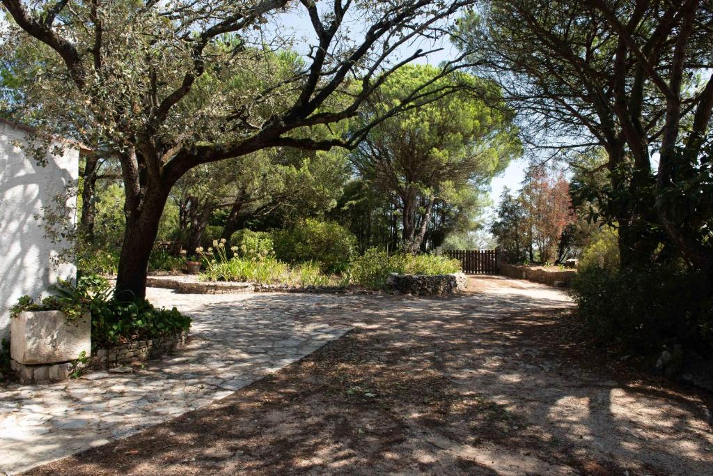 Afbeelding uit fotogalerij van Moinho do Avo To in Rio Maior