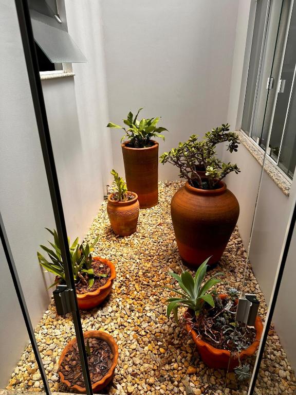 Zahrada ubytování Casa em Toledo 1 suíte e 2 quartos confortável