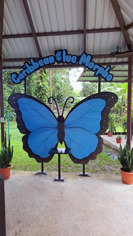 Zahrada ubytování Caribbean Blue Morpho Casitas