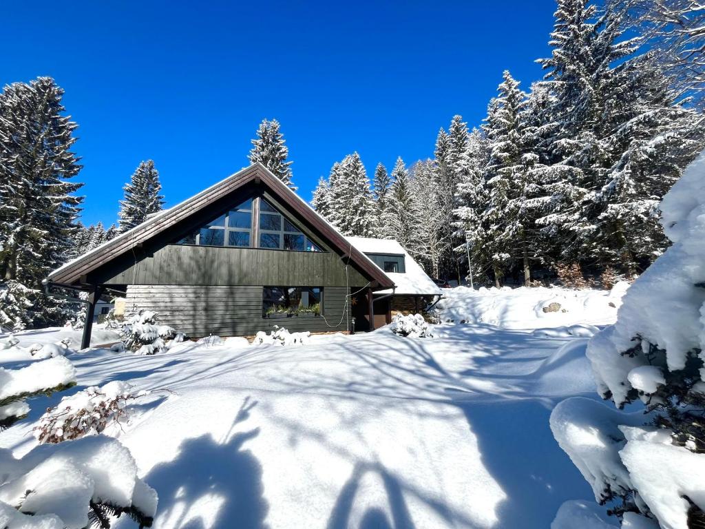 apartmány V Lese v zimě