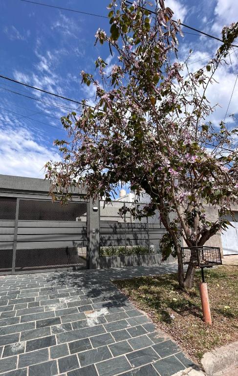 Un árbol sentado al lado de un banco al lado de un edificio. en Casa Las Hermanas, en Santa Fe