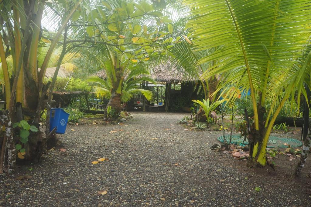 Taman di luar El Vijo Surf