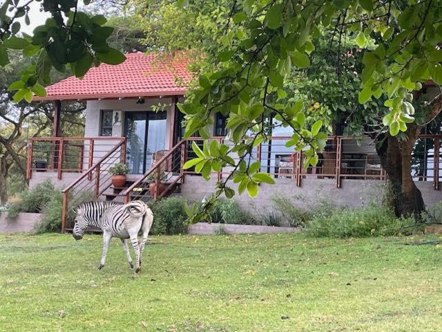 Zahrada ubytování Khululeka Safaris Lodge