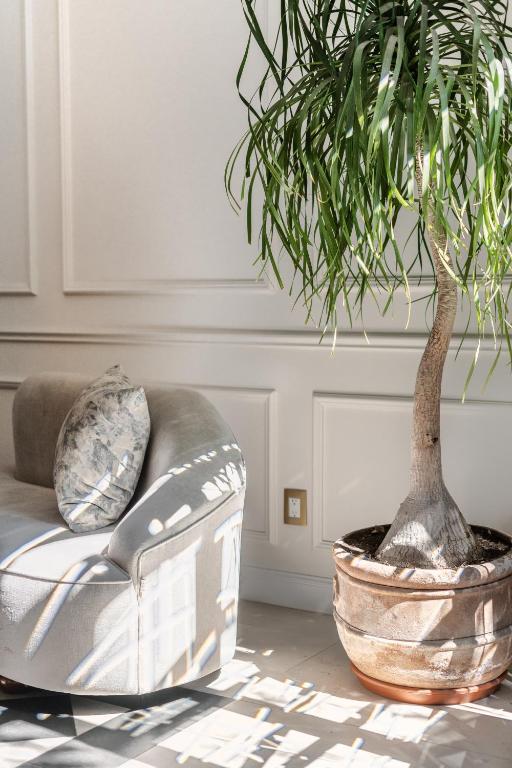 a living room with a couch and a potted plant at Villa Ganz Boutique Hotel in Guadalajara