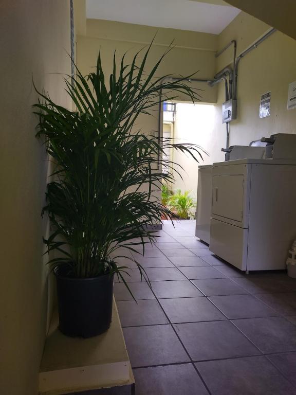 Kuchyň nebo kuchyňský kout v ubytování Boricua 2 Studio Apt D Air Conditioning WiFi