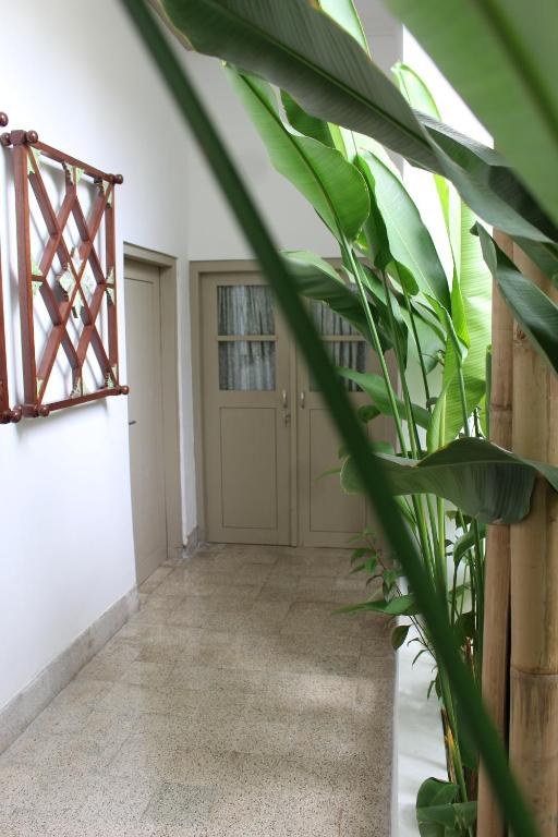 Fotografie z fotogalerie ubytování Ijen Haus v destinaci Banyuwangi