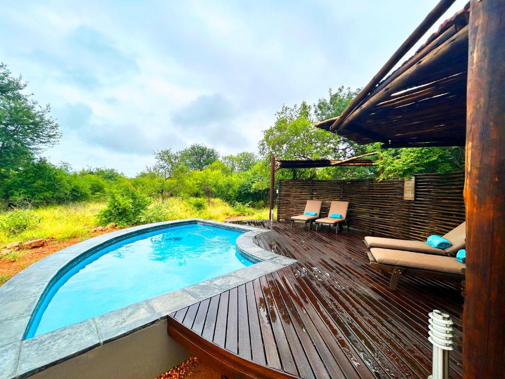 a swimming pool on a wooden deck with chairs at Wild Dog Guest Lodge in Hoedspruit
