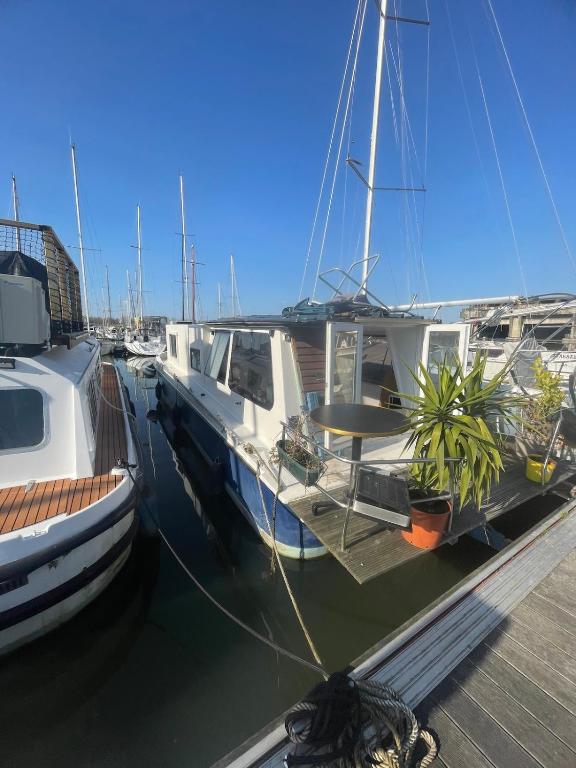 un groupe de bateaux amarrés à un quai dans l'établissement Péniche, à Bordeaux