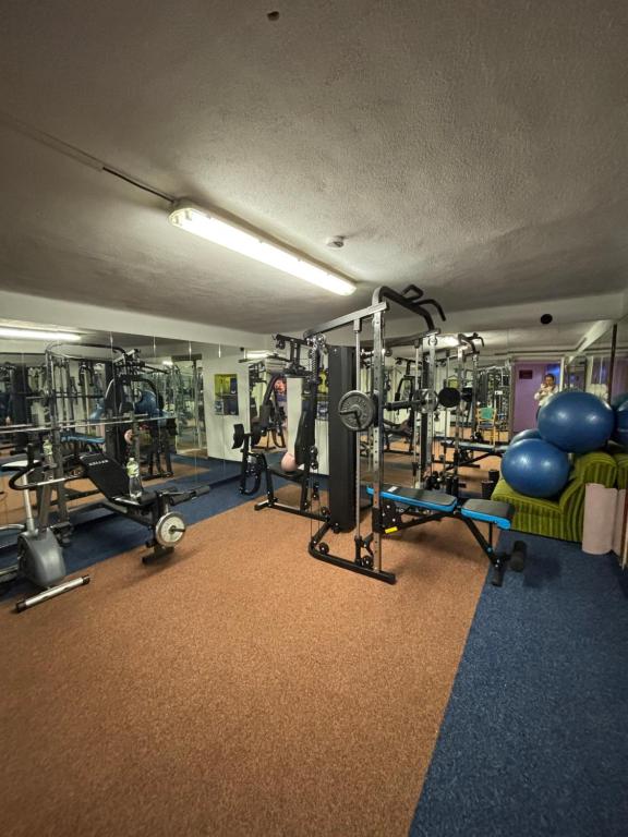 Fitness centrum a/nebo fitness zařízení v ubytování hotel Sádek
