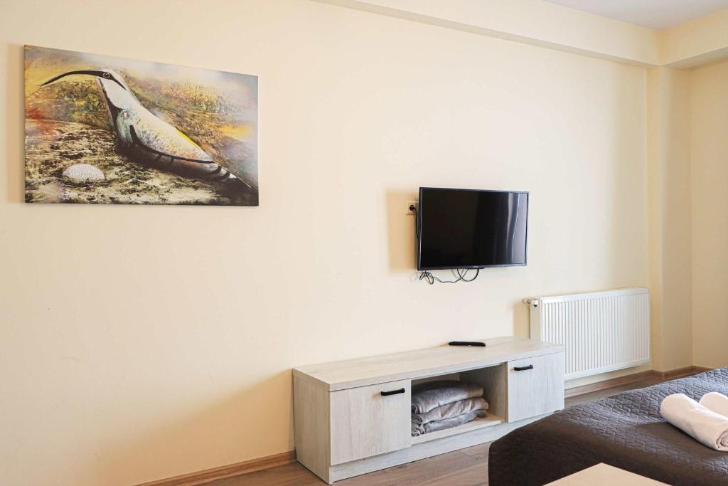 TV a/nebo společenská místnost v ubytování Cozy Studio Ski In Out Apartment In New Gudauri