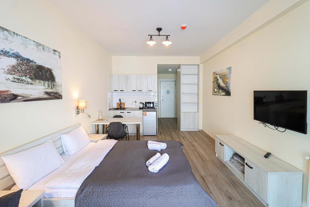 TV a/nebo společenská místnost v ubytování Cozy Studio Ski In Out Apartment In New Gudauri