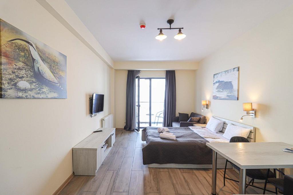 TV a/nebo společenská místnost v ubytování Cozy Studio Ski In Out Apartment In New Gudauri