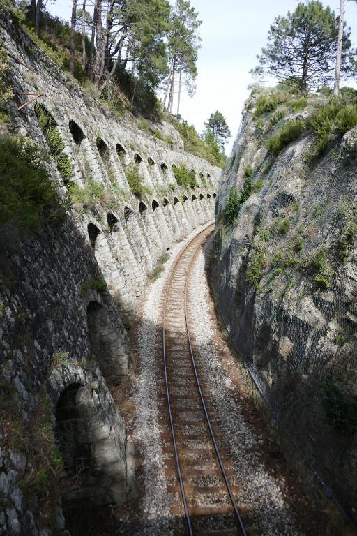 Příroda nedaleko vily