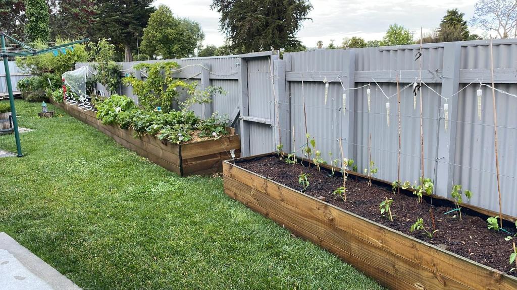 CareGreen BnB - Resim 15