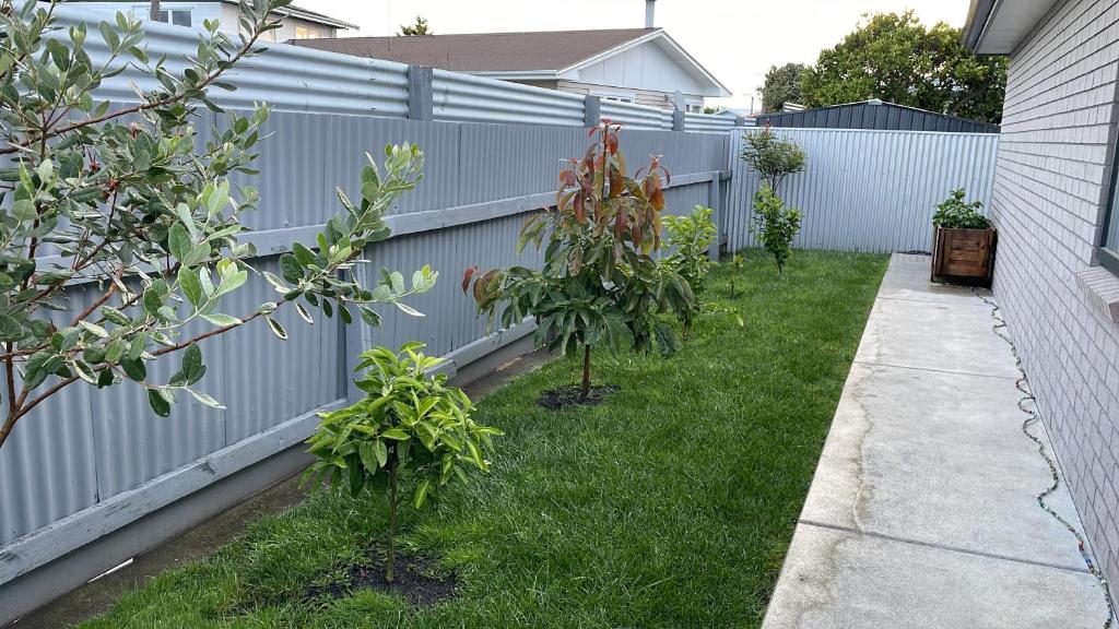 CareGreen BnB - Resim 14