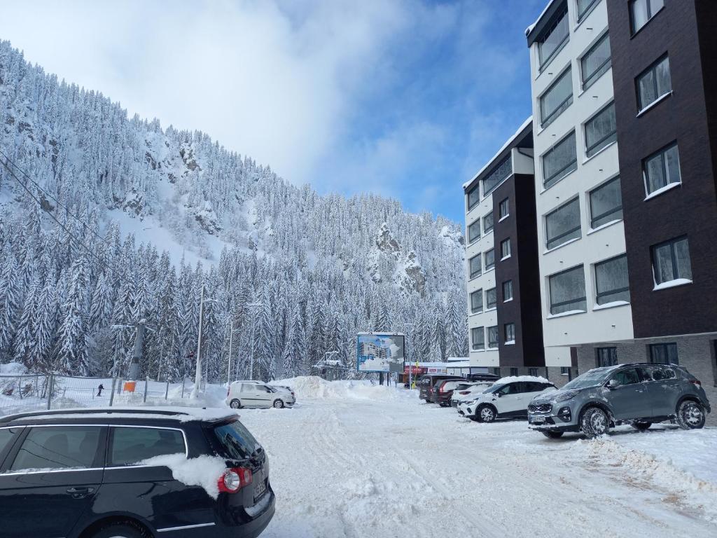 Apartman Winter night Snježna dolina en invierno