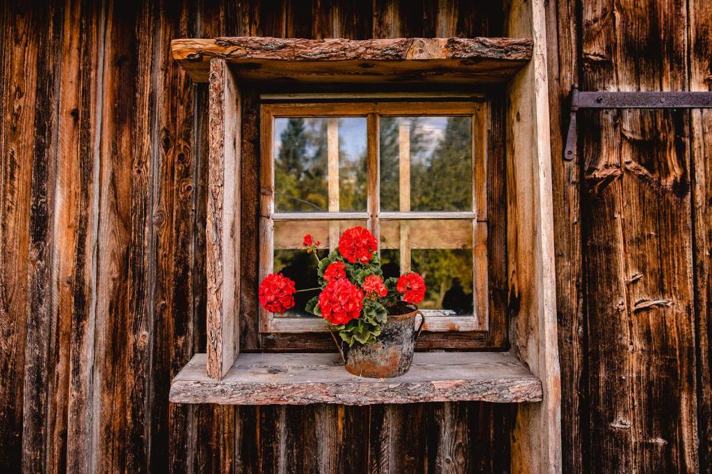 Fotografie z fotogalerie ubytování Nestelberg 17 v destinaci Lackenhof