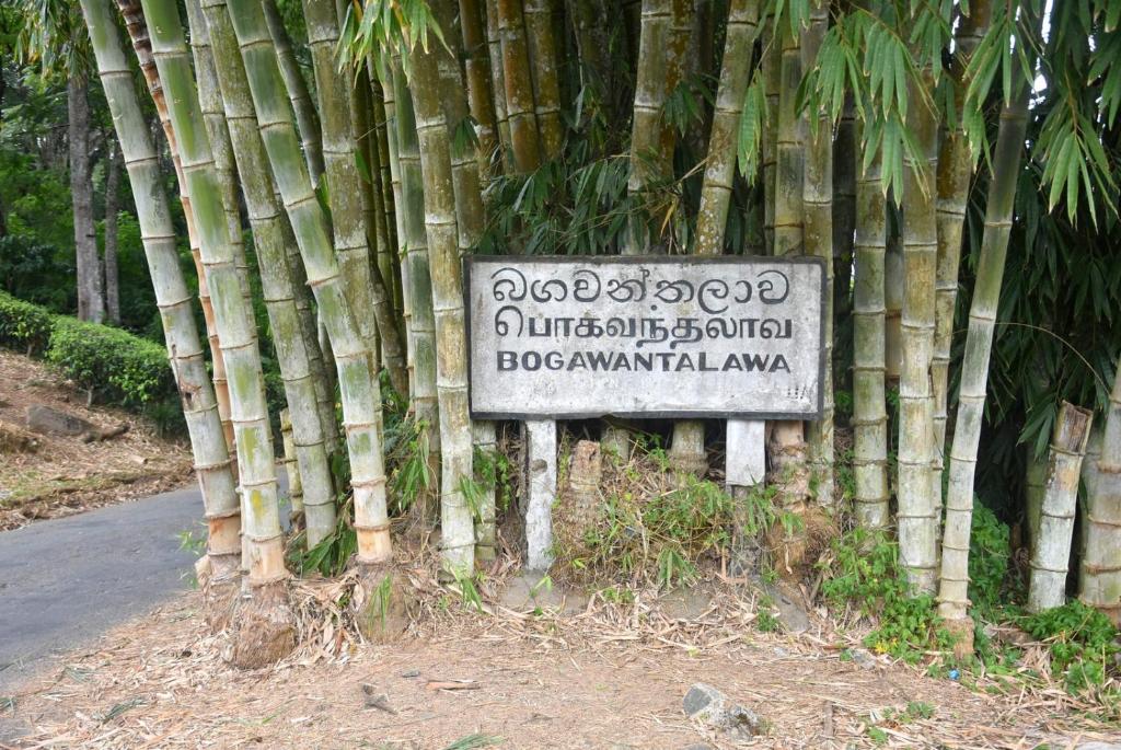 Fotografie z fotogalerie ubytování Riverside Camping Bogawanthalawa v destinaci Bogawantalawa