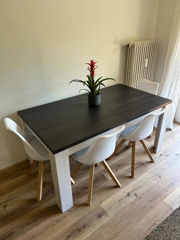 Modern apartment near StJakob - Resim 11