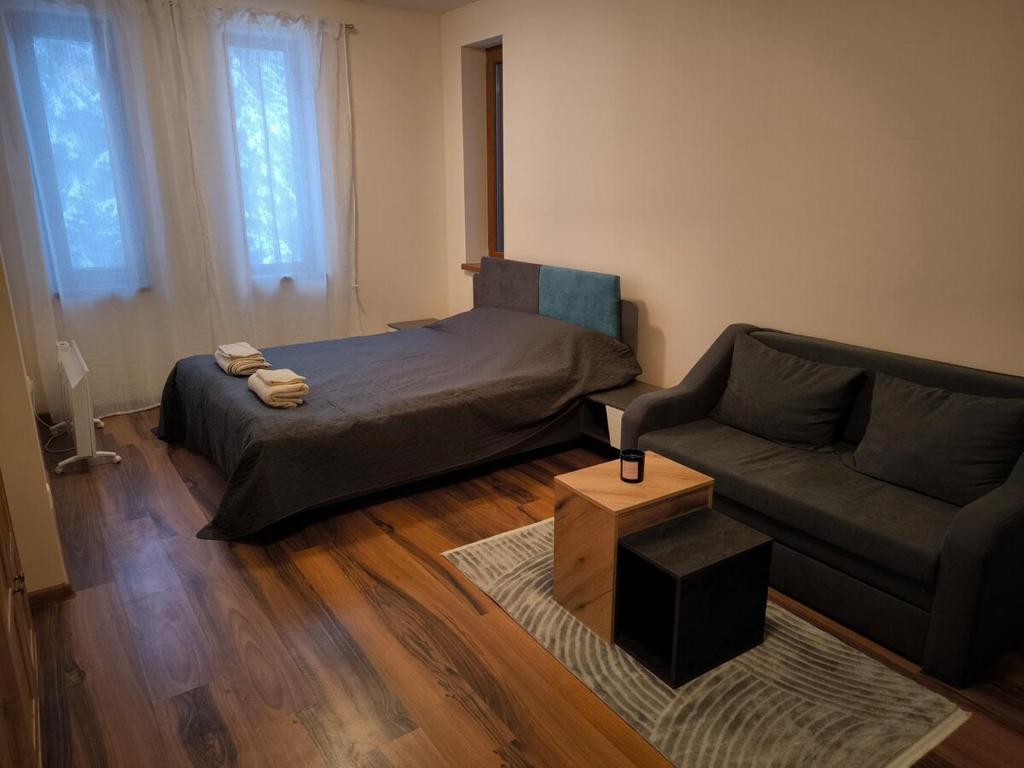 ein Wohnzimmer mit einem Bett und einer Couch in der Unterkunft NiSimo Apartment Grand Resort Pamporovo in Pamporowo