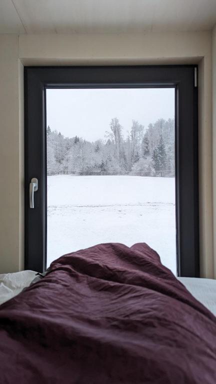 Postel nebo postele na pokoji v ubytování Tiny House dans les montagnes, JURA