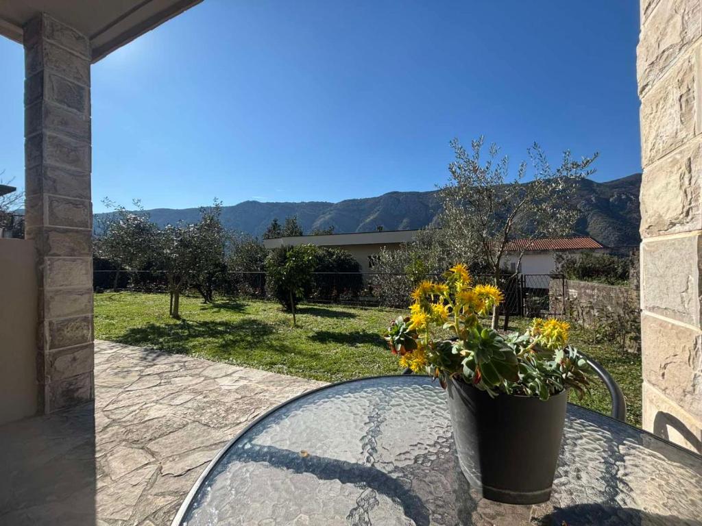 Apartments Samardzic - 1