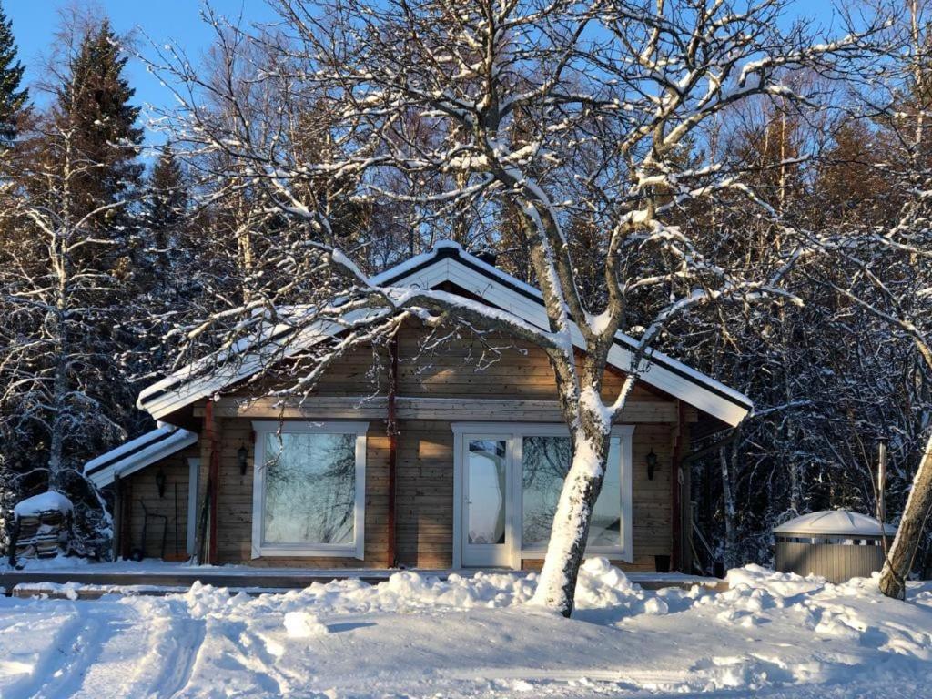 a log cabin with a tree in the snow at Eco-Villa Saturnus in Simo