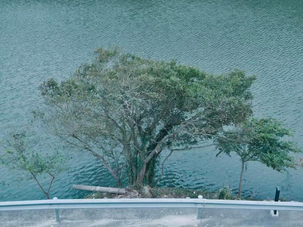 民宿周边自然景观