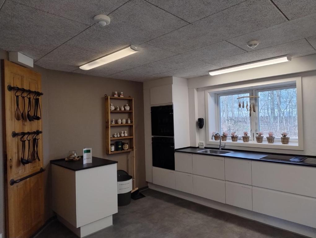 Kuchyň nebo kuchyňský kout v ubytování Danhostel Esbjerg