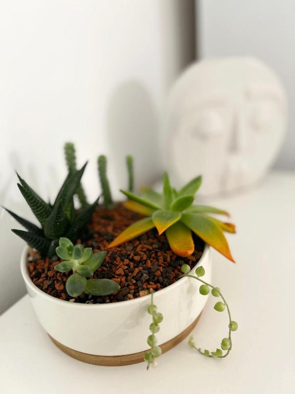 a small plant in a white pot on a table at Inga Oasis in Turda