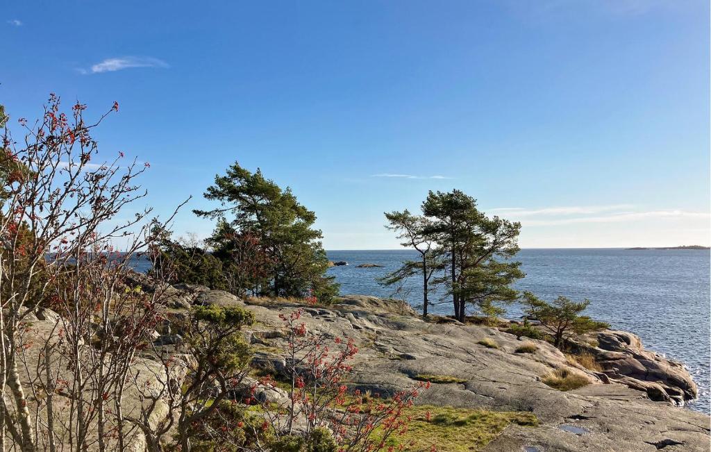 Loodusmaastik puhkemaja lähedal