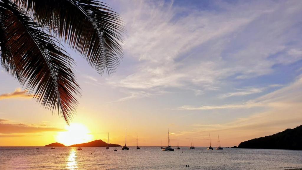 a group of boats in the water at sunset at Ti Turtle in Saint-François